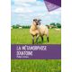 La Métamorphose d'Antoine