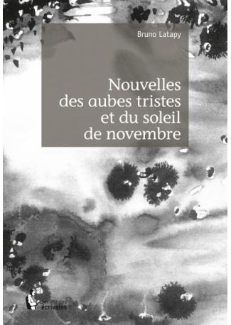 Nouvelles des aubes tristes et du soleil de novembre - Tome 1