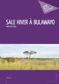 Sale hiver à Bulawayo