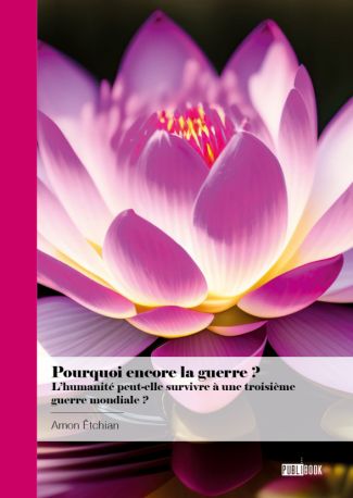 Pourquoi encore la guerre ? L’humanité peut-elle survivre à une troisième guerre mondiale ?