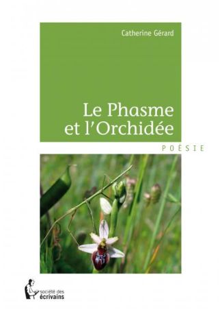 Le Phasme et l'Orchidée