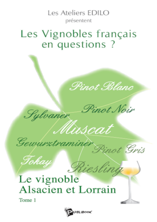 Les Vignobles français en questions