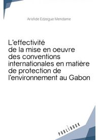 L'effectivité de la mise en oeuvre des conventions internationales en matière de protection de l'environnement au Gabon