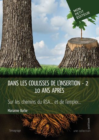 Dans les coulisses de l'insertion - Tome 2