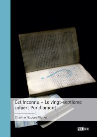 Cet Inconnu – Le vingt-septième cahier : Pur diamant
