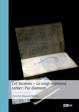 Cet Inconnu – Le vingt-septième cahier : Pur diamant