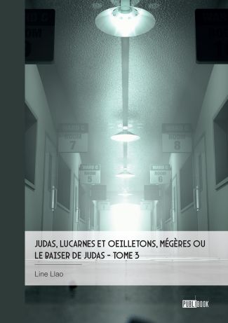 Judas, lucarnes et oeilletons, Mégères ou Le baiser de Judas - Tome 3