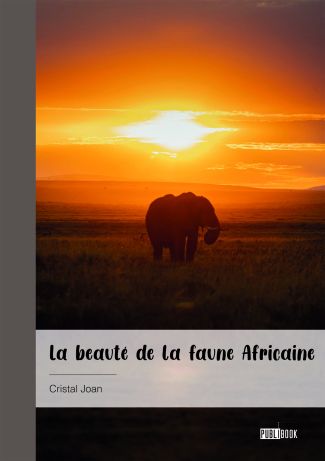 La beauté de la faune Africaine