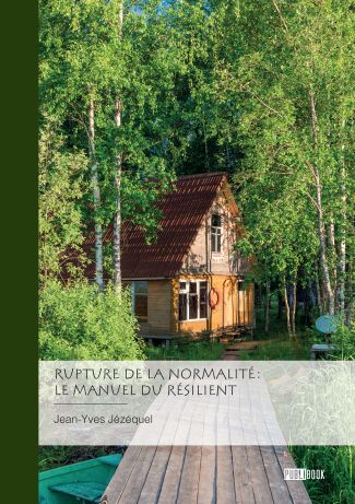 Rupture de la normalité : le manuel du résilient