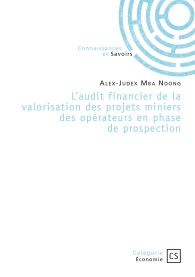 L'audit financier de la valorisation des projets miniers des opérateurs en phase de prospection