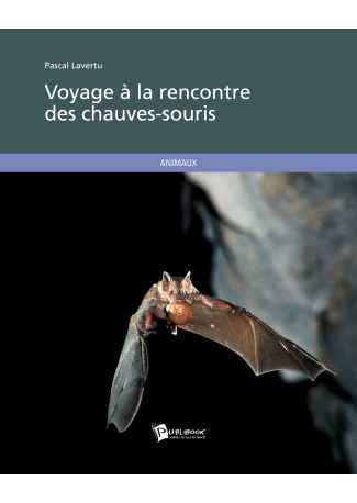 Voyage à la rencontre des chauves-souris