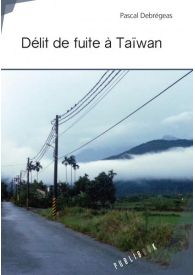 Délit de fuite à Taïwan