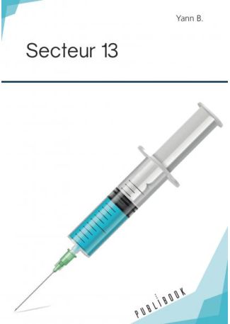 Secteur 13